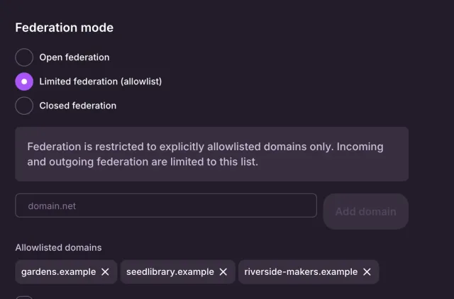 The Access tab with Limited federation selected, its explanation, a domain field with an Add domain button, and three allowlisted domains.