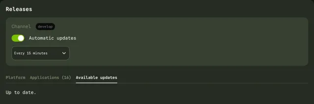 The Releases page on the Available updates tab with the release channel, an Automatic updates switch, the update interval and an up-to-date message.